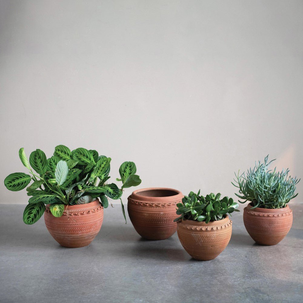 Pots & Planters