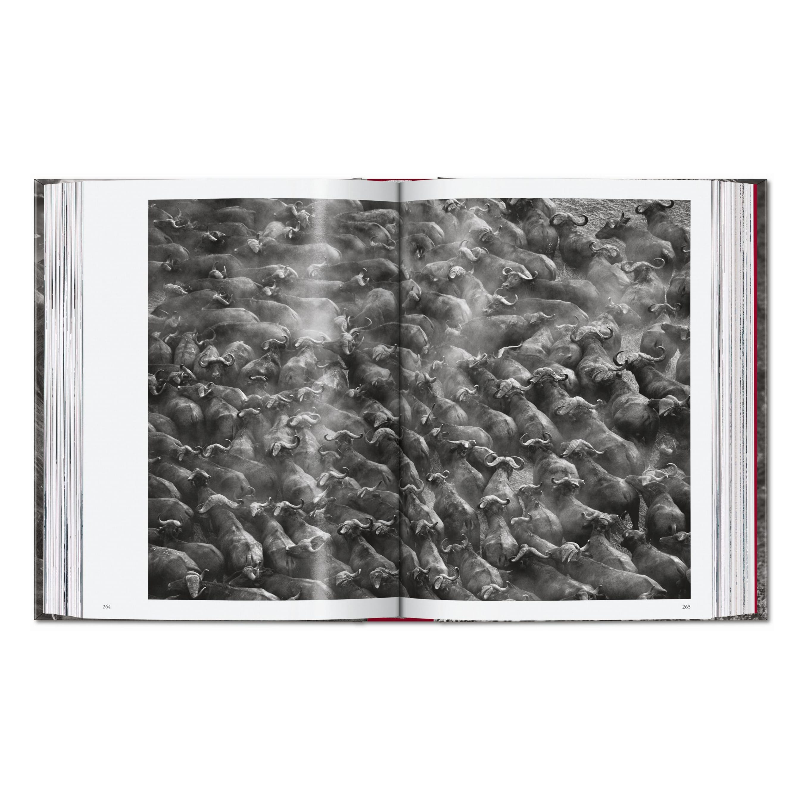 Sebastião Salgado. Genesis. 45th Ed. (English)