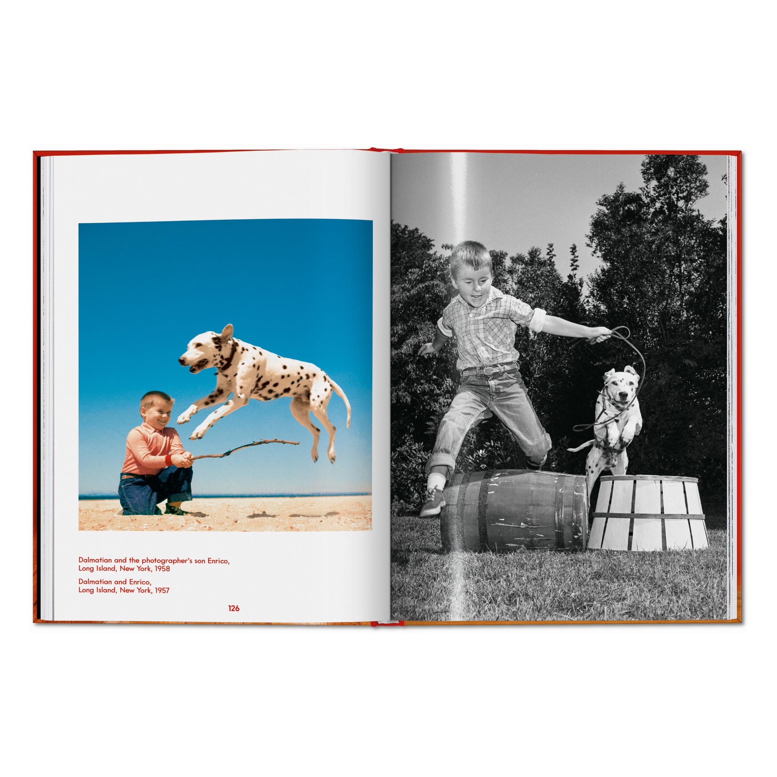 Walter Chandoha. Dogs. Photographs 1941–1991 (English)