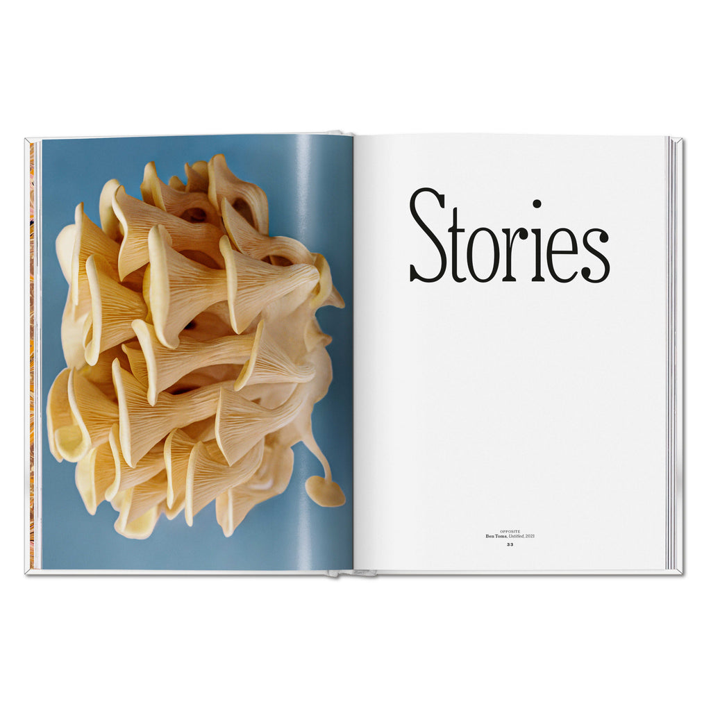 The Gourmand's Mushroom. A Collection of Stories and Recipes (English)