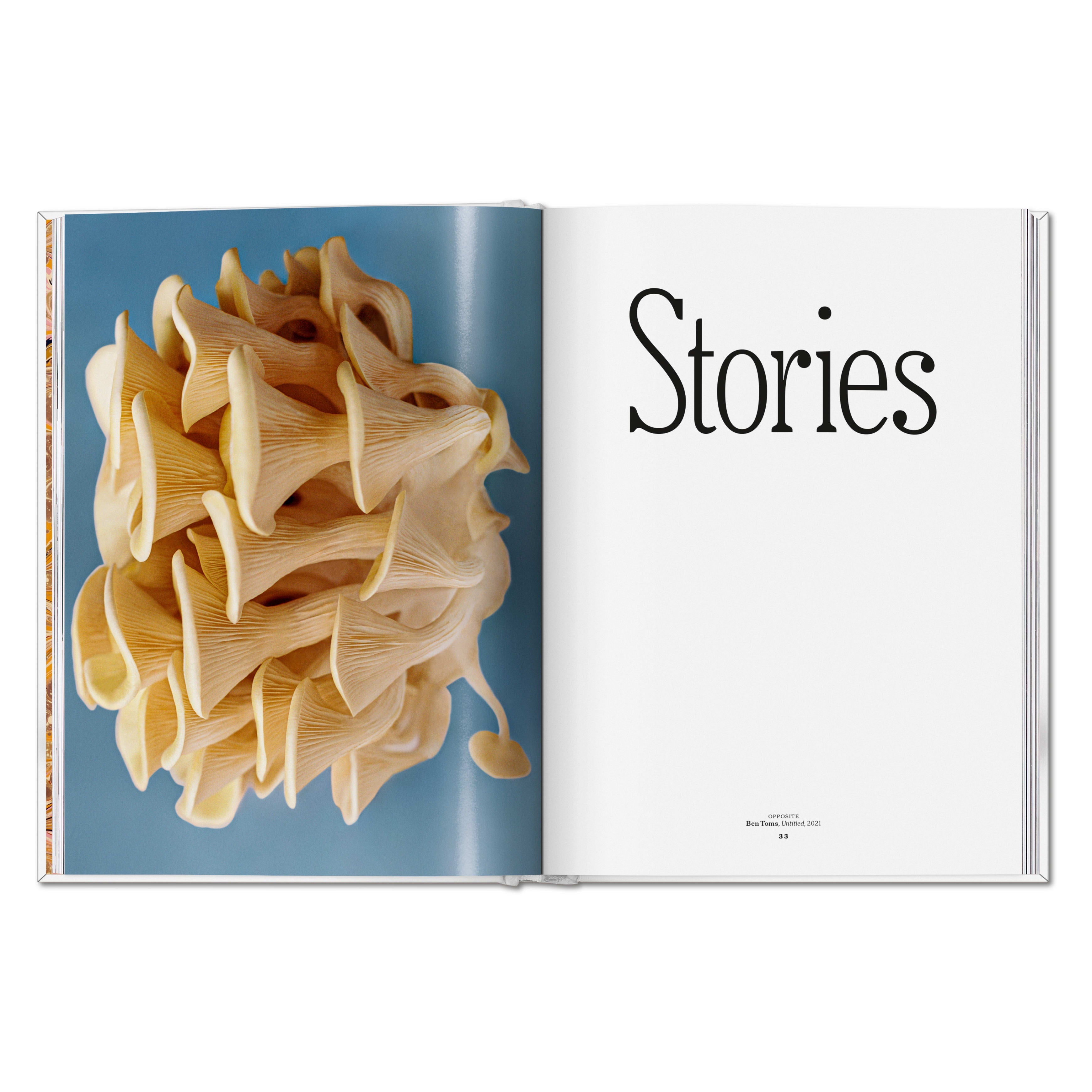 The Gourmand's Mushroom. A Collection of Stories and Recipes (English)