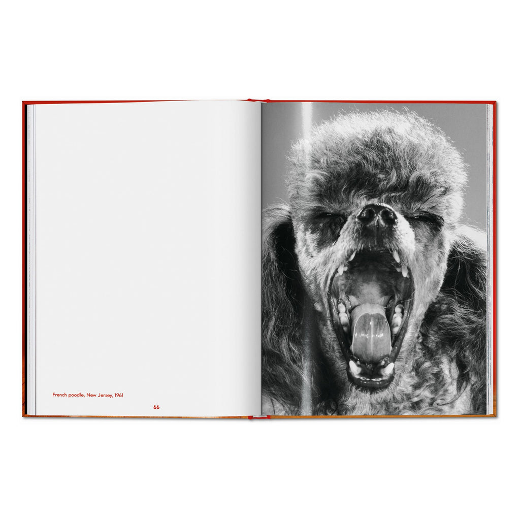 Walter Chandoha. Dogs. Photographs 1941–1991 (English)