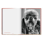Walter Chandoha. Dogs. Photographs 1941–1991 (English)