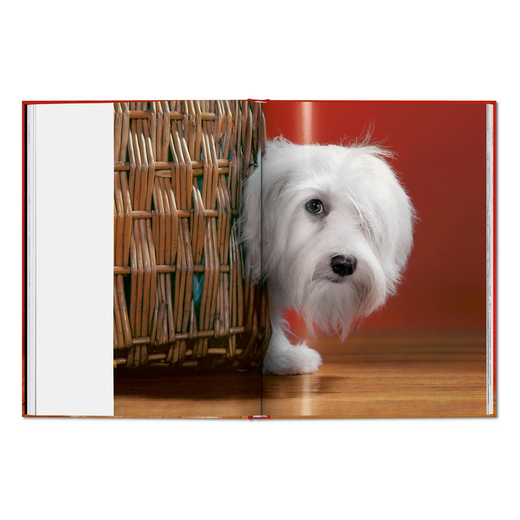 Walter Chandoha. Dogs. Photographs 1941–1991 (English)
