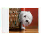 Walter Chandoha. Dogs. Photographs 1941–1991 (English)