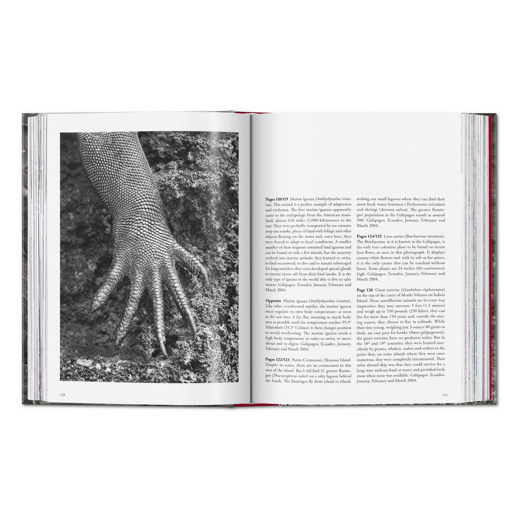 Sebastião Salgado. Genesis. 45th Ed. (English)