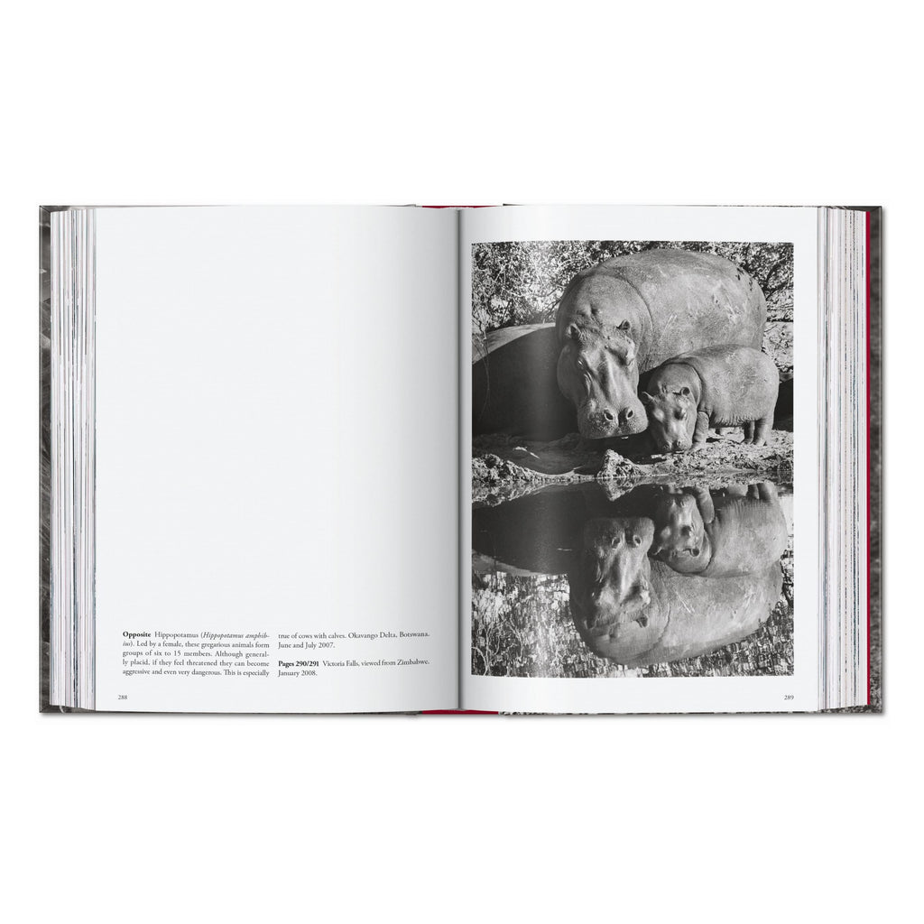 Sebastião Salgado. Genesis. 45th Ed. (English)