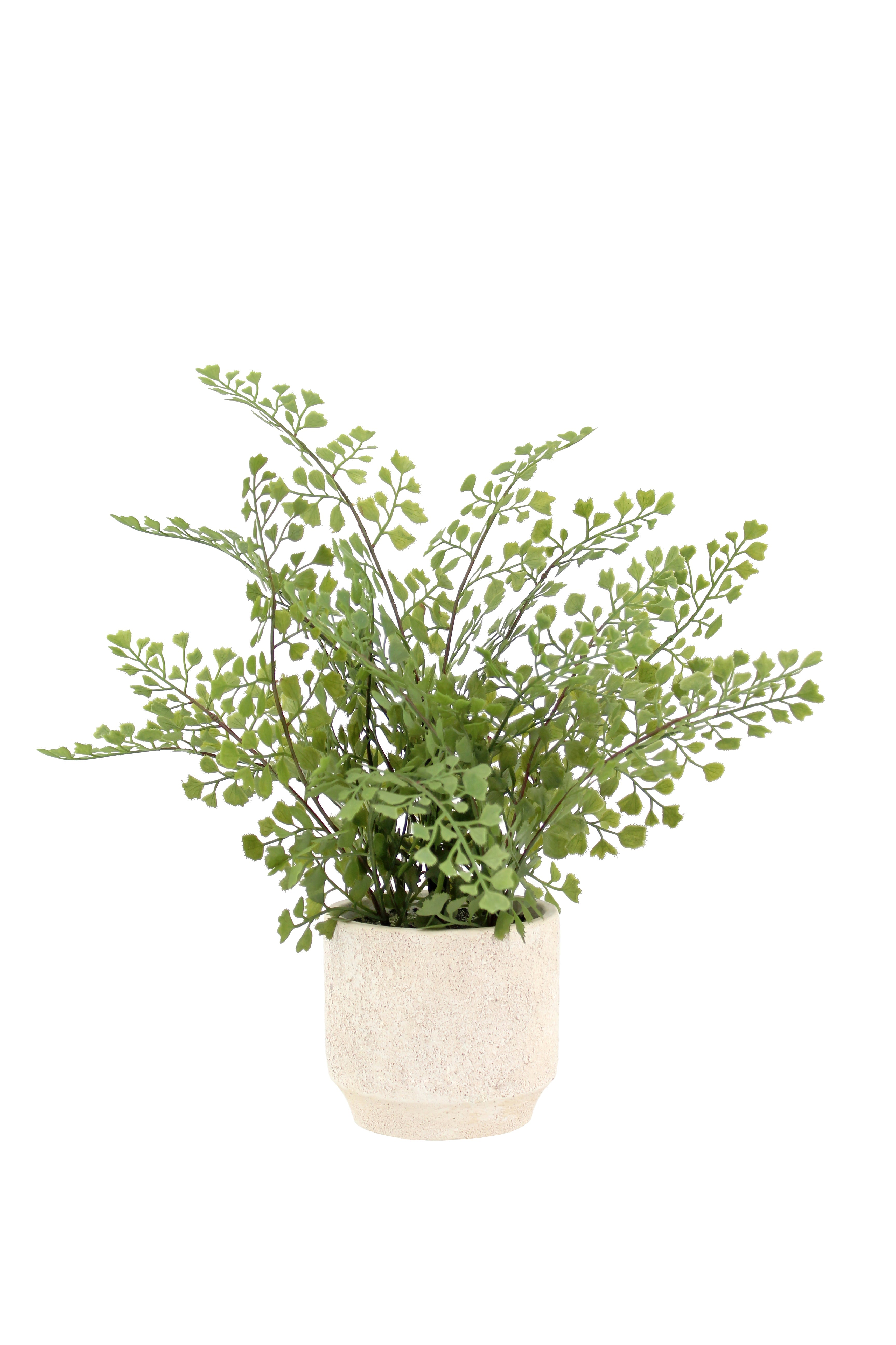 16" Faux Snake Plant & Fern Set