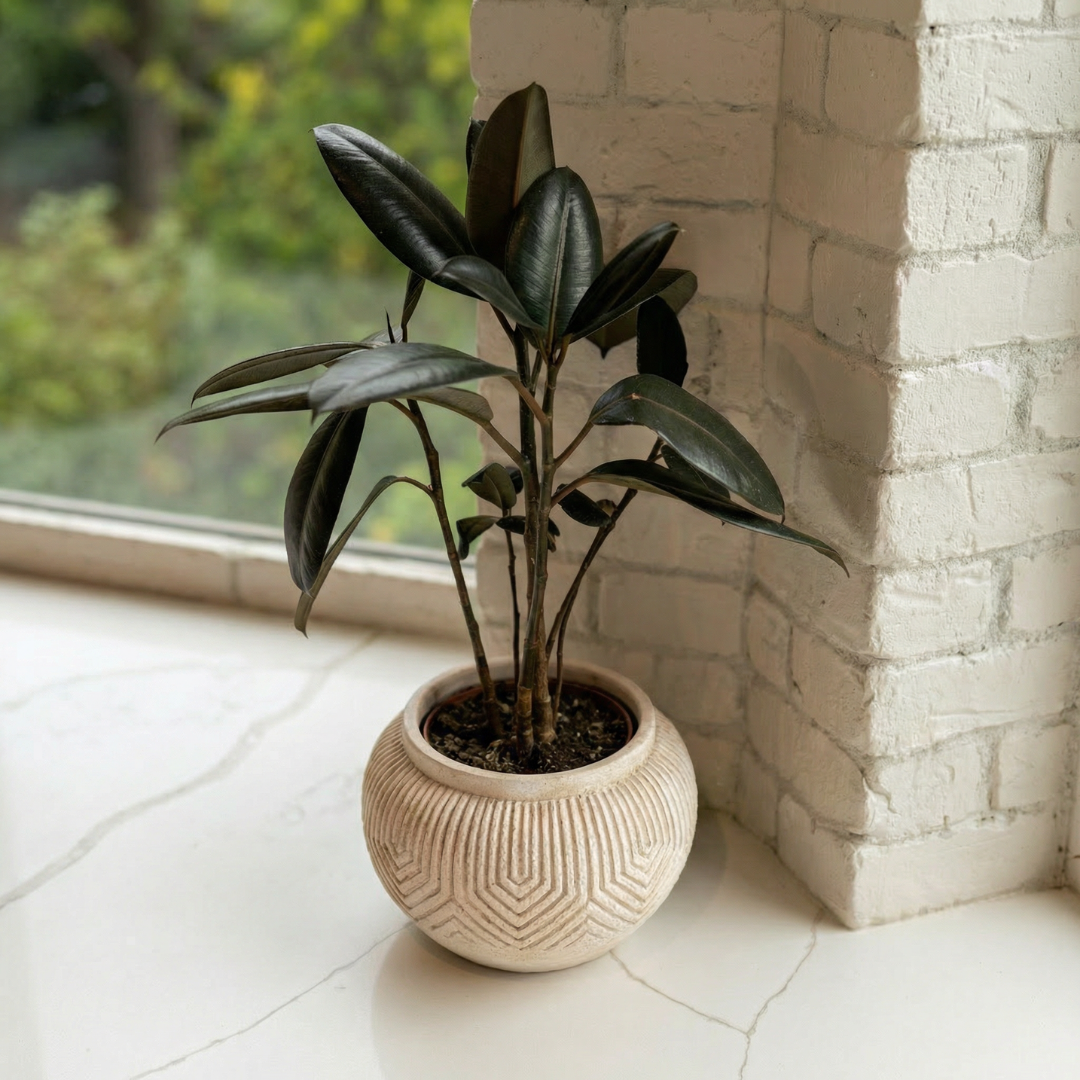 Linden Concrete Vessel Natural Sandstone or Rustic Umber, 8"D X 6"H