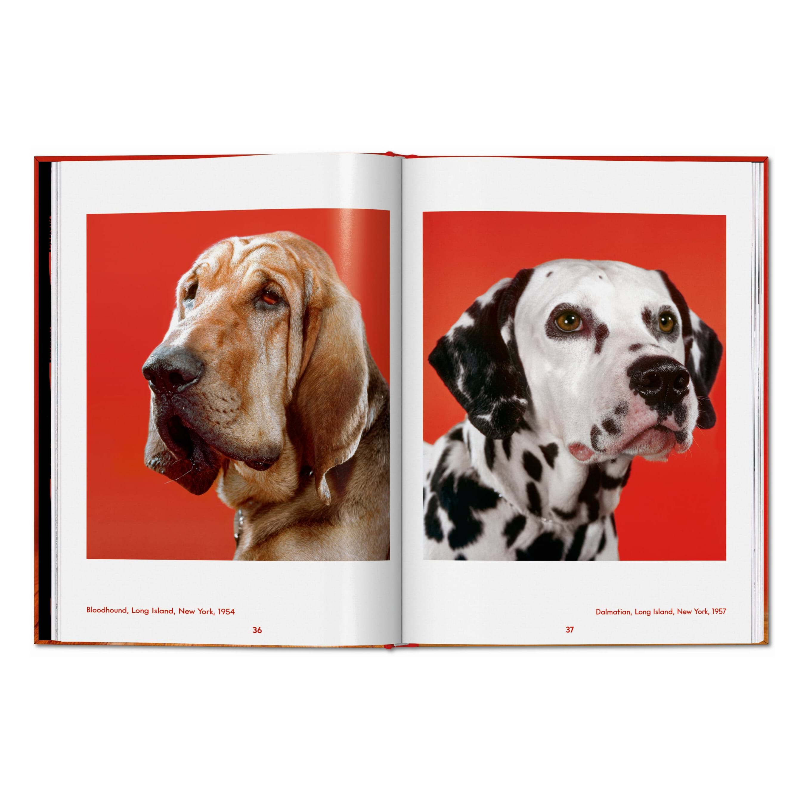 Walter Chandoha. Dogs. Photographs 1941–1991 (English)