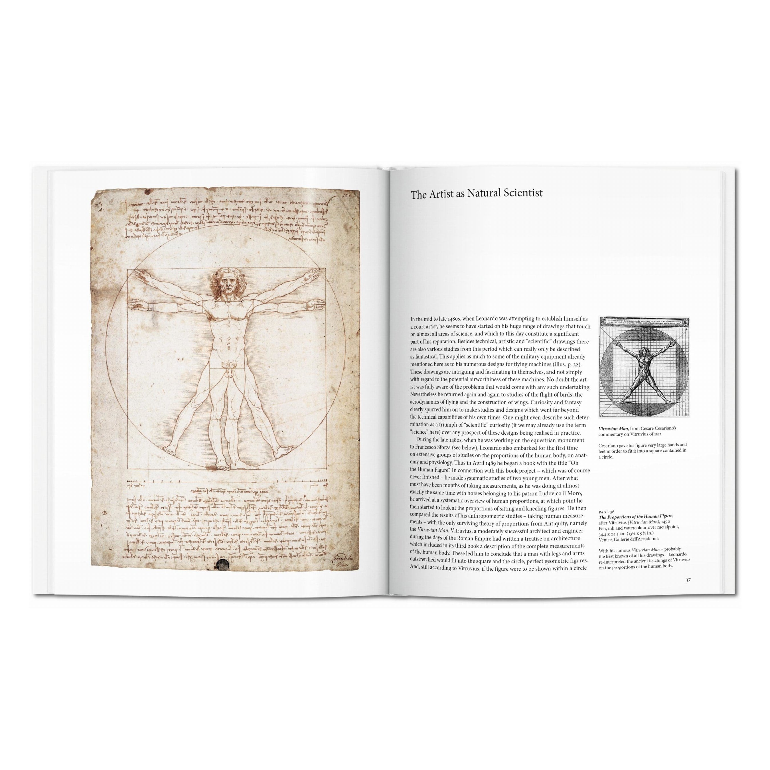 Leonardo (English)