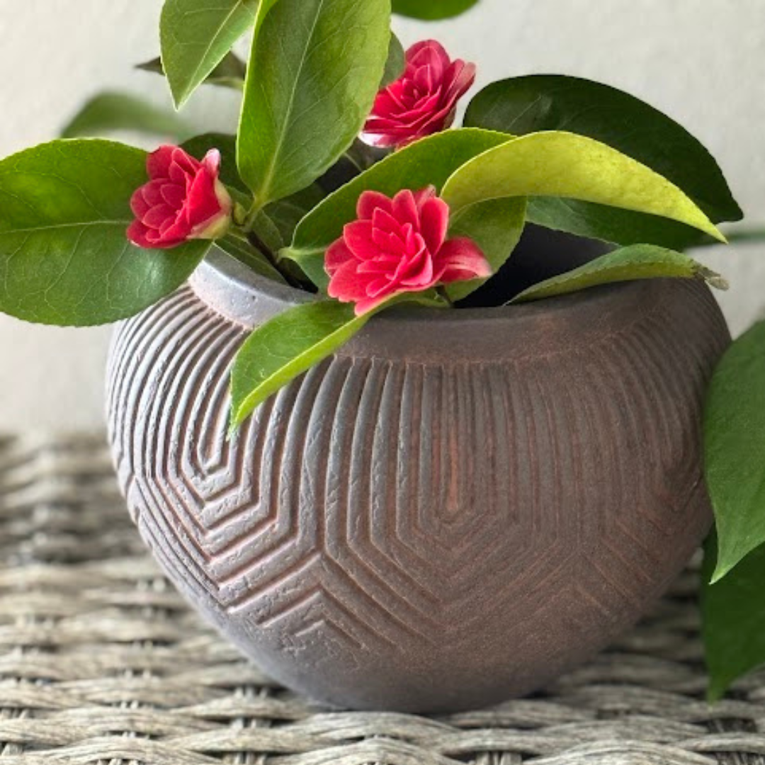 Linden Concrete Vessel in Rustic Umber or Natural Sandstone, 8"D X 6"H