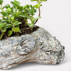 Oakes Cement Planter, Unique Driftwood-Inspired Design, 15"L x 6.5"W x 3.1"H