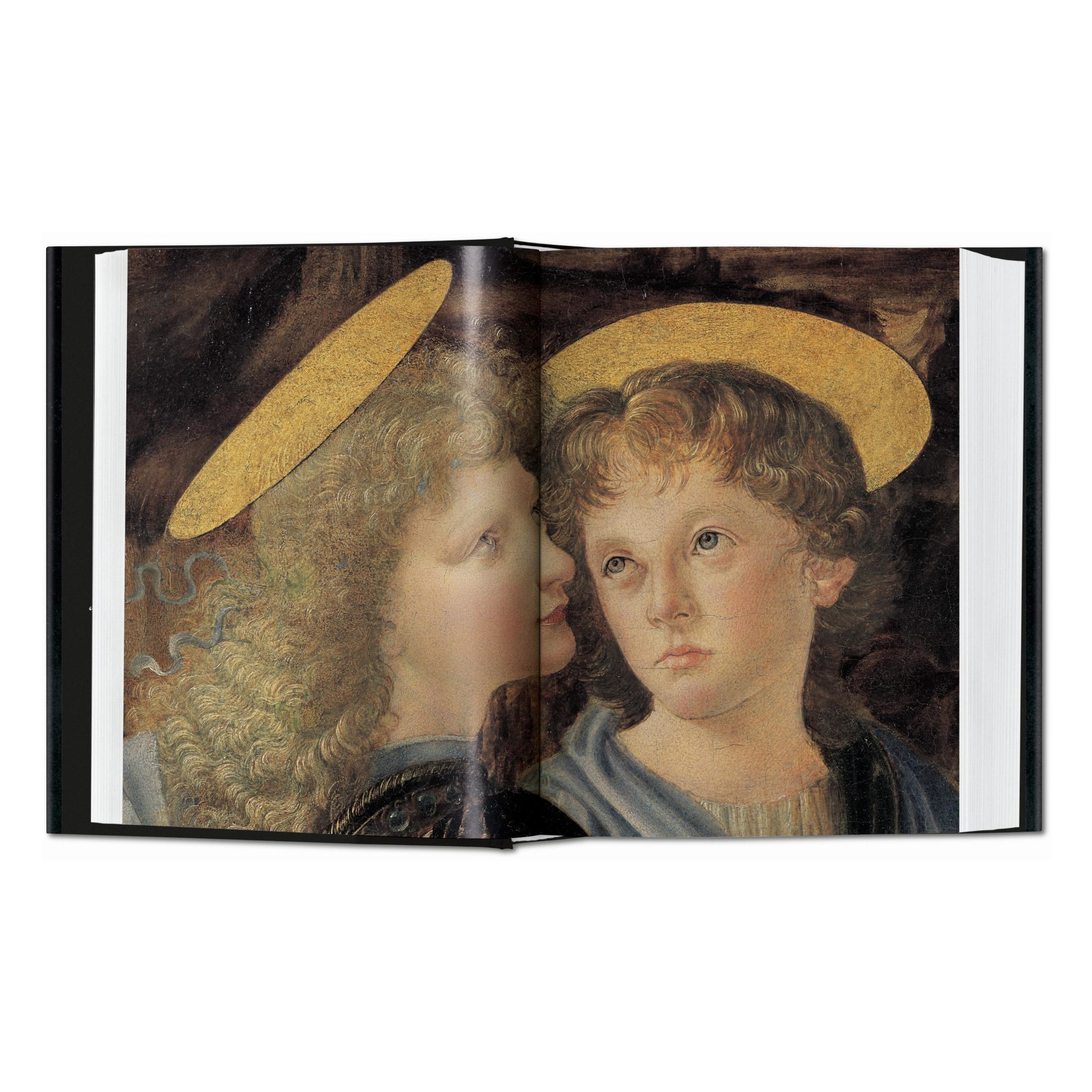 Leonardo. The Complete Paintings. 45th Ed. (English)