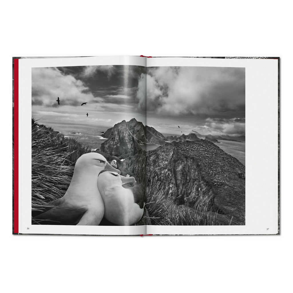 Sebastião Salgado. Genesis (English)