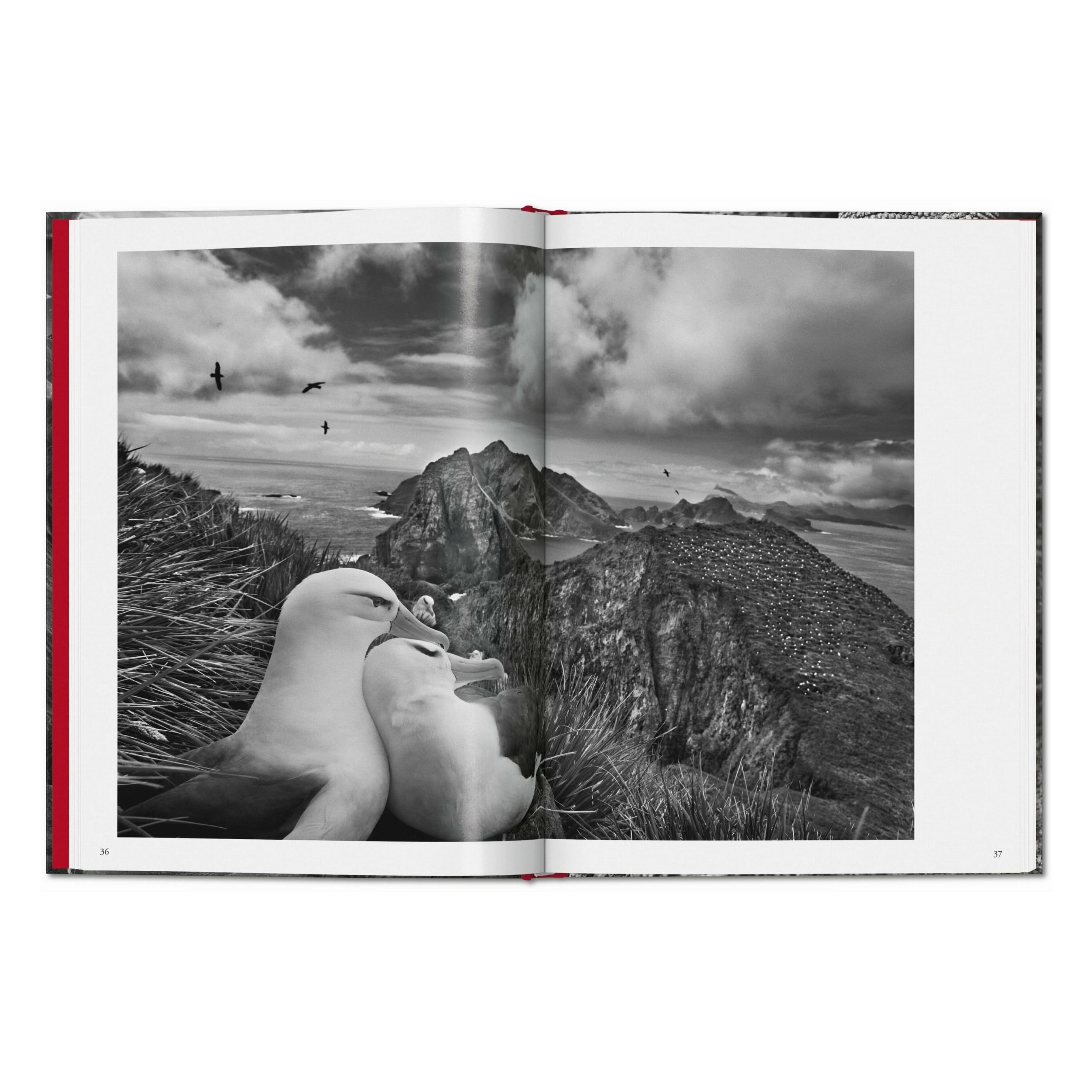 Sebastião Salgado. Genesis (English)