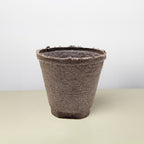 Cow Pot