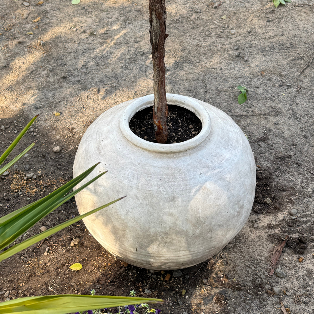Greystone Fiber Clay Vessel in Aged White, 18.5"D x 14.4"H