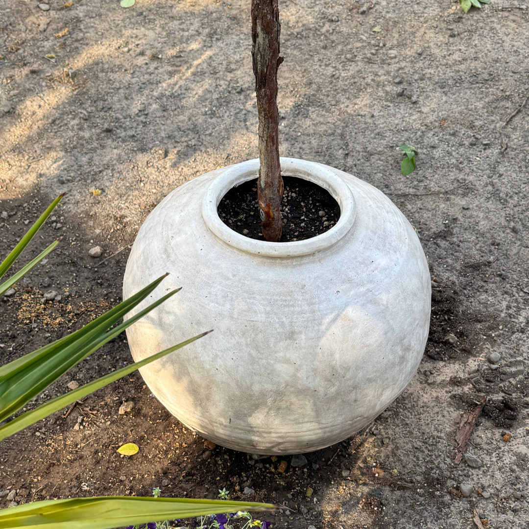 Greystone Fiber Clay Vessel in Aged White, 18.5"D x 14.4"H