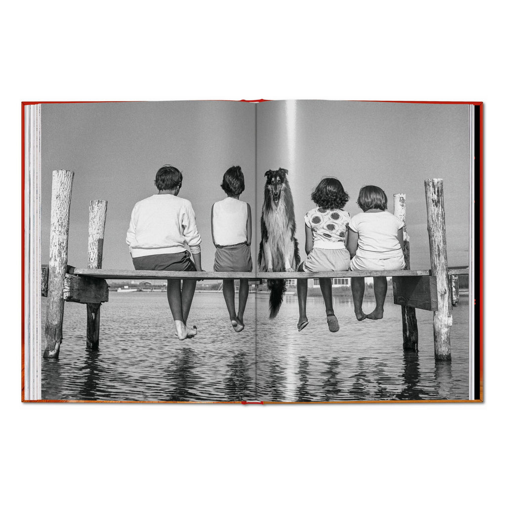 Walter Chandoha. Dogs. Photographs 1941–1991 (English)