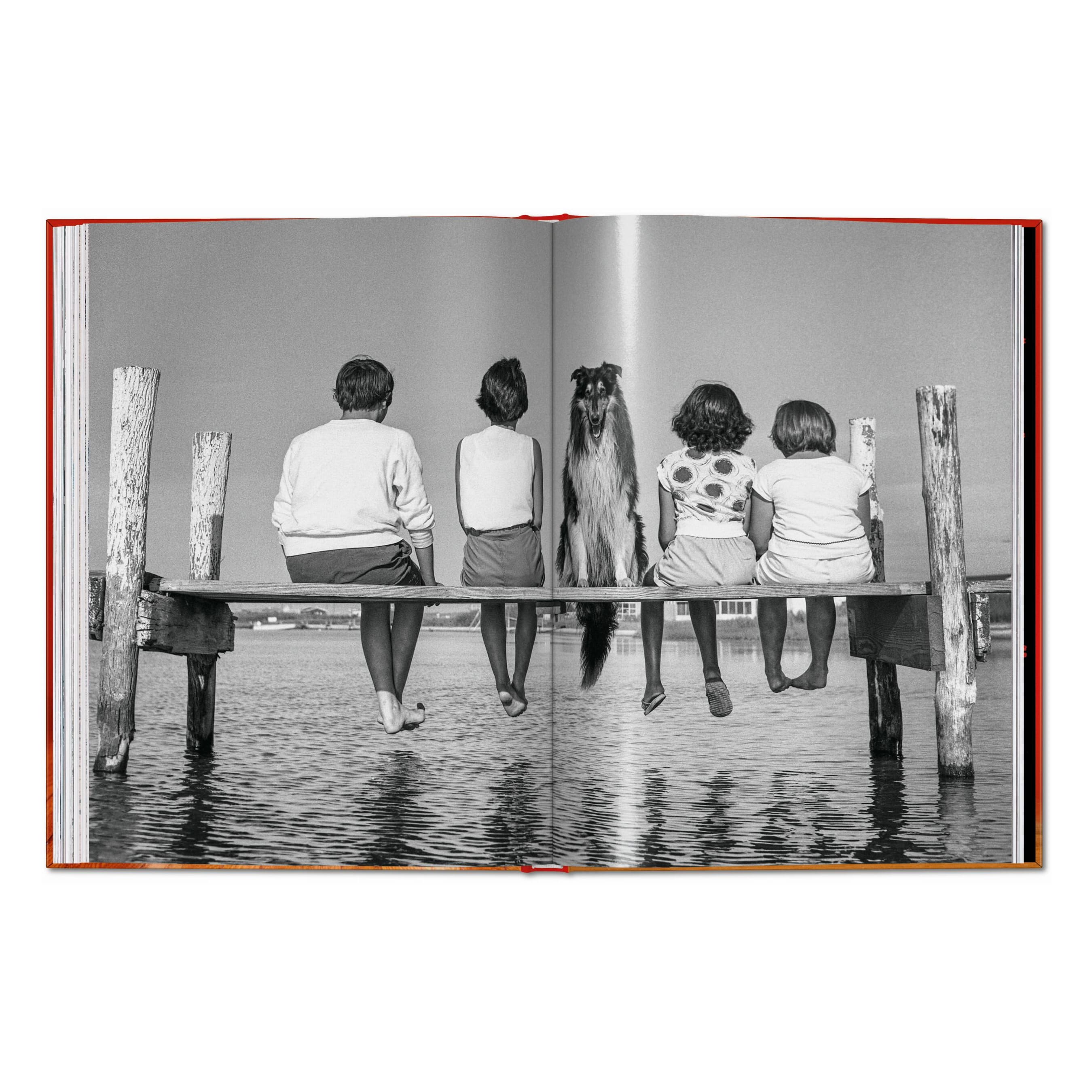 Walter Chandoha. Dogs. Photographs 1941–1991 (English)