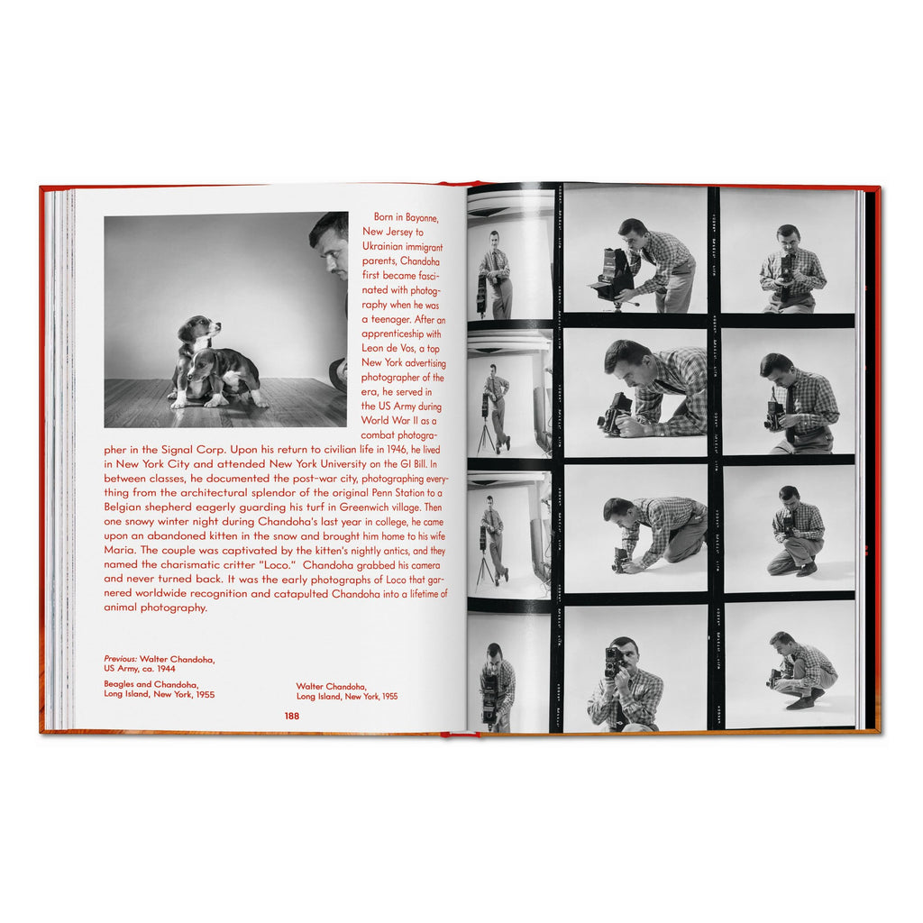 Walter Chandoha. Dogs. Photographs 1941–1991 (English)