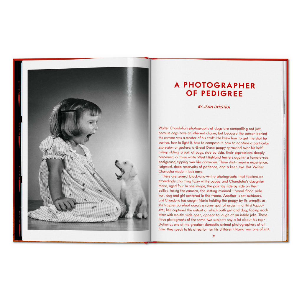 Walter Chandoha. Dogs. Photographs 1941–1991 (English)