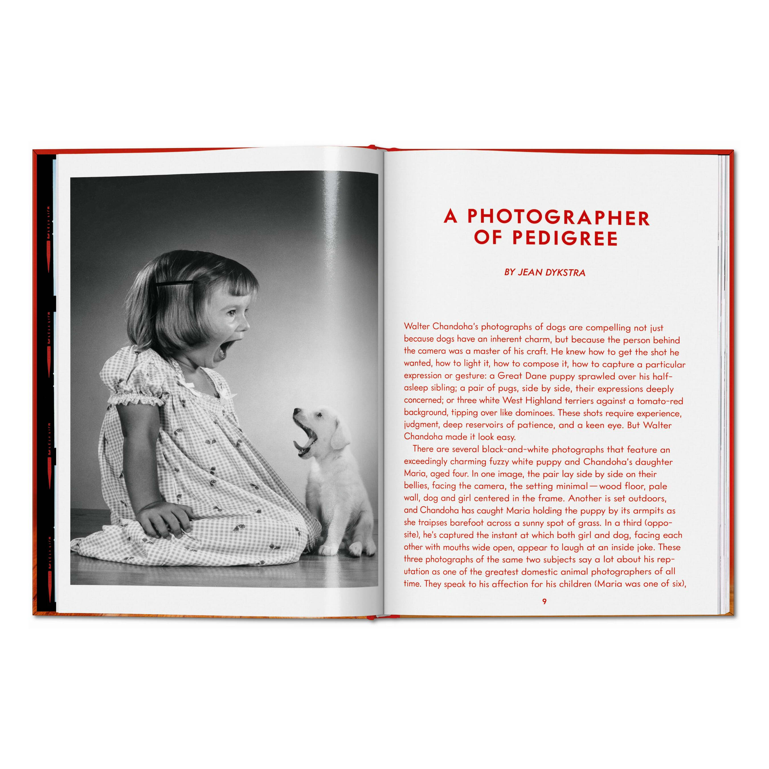 Walter Chandoha. Dogs. Photographs 1941–1991 (English)