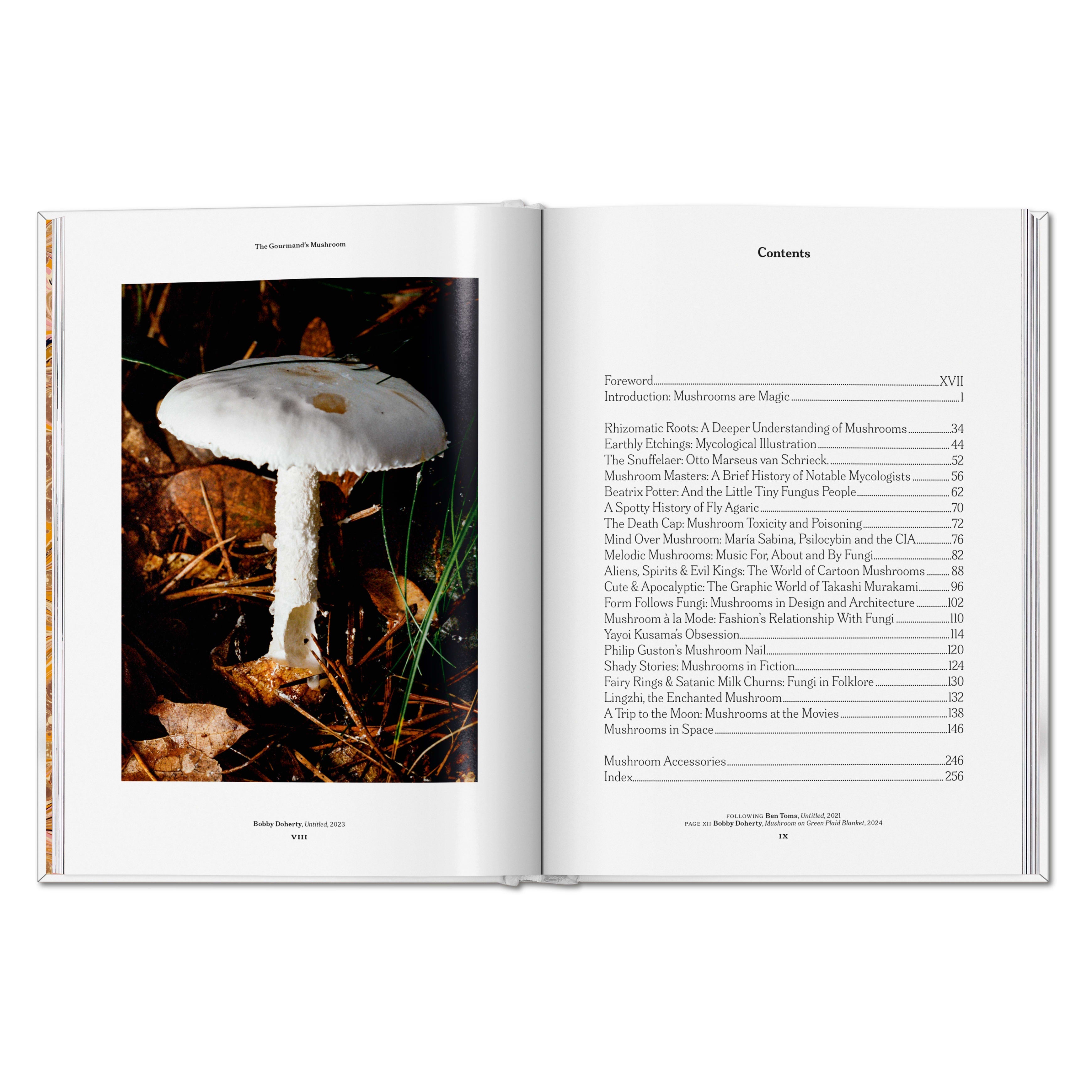 The Gourmand's Mushroom. A Collection of Stories and Recipes (English)