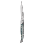 Single steak knife with a sage green pakkawood handle, standing upright