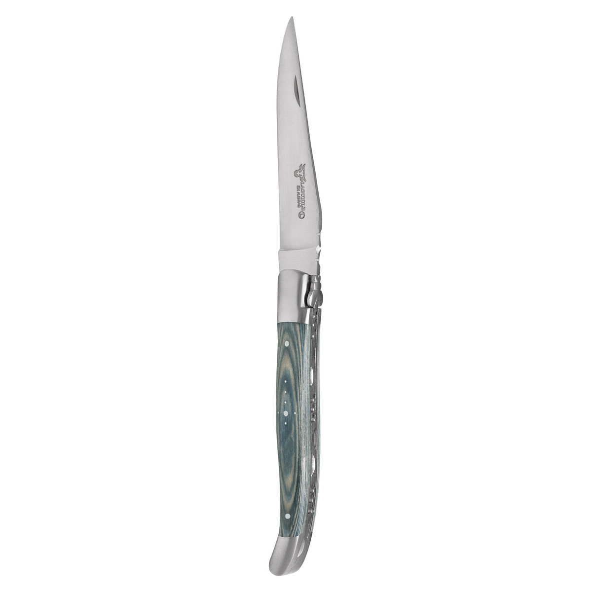 Single steak knife with a sage green pakkawood handle, standing upright
