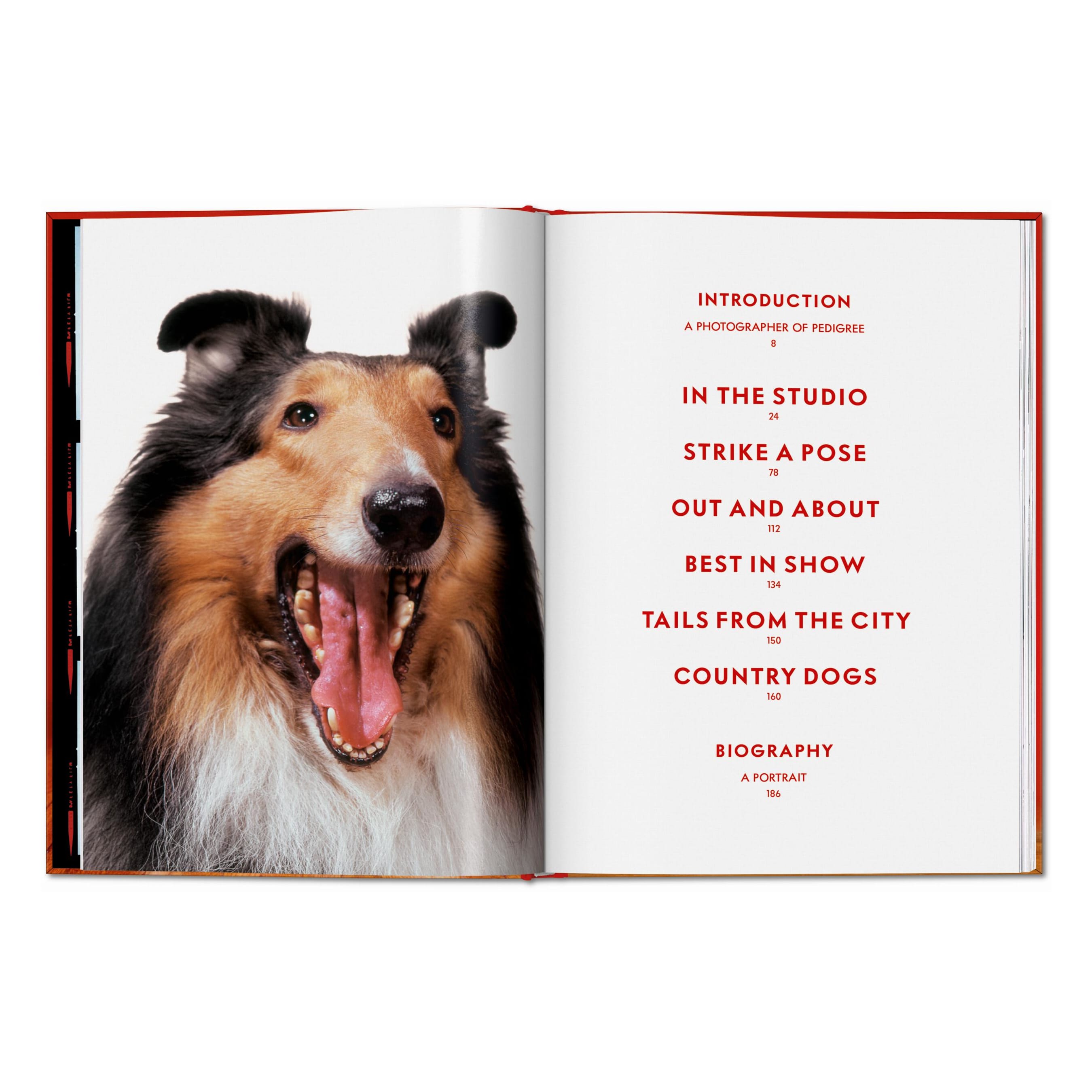 Walter Chandoha. Dogs. Photographs 1941–1991 (English)