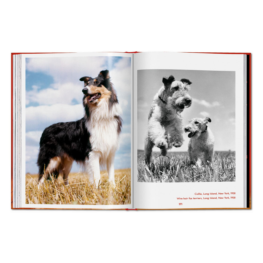 Walter Chandoha. Dogs. Photographs 1941–1991 (English)