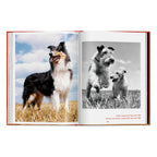 Walter Chandoha. Dogs. Photographs 1941–1991 (English)