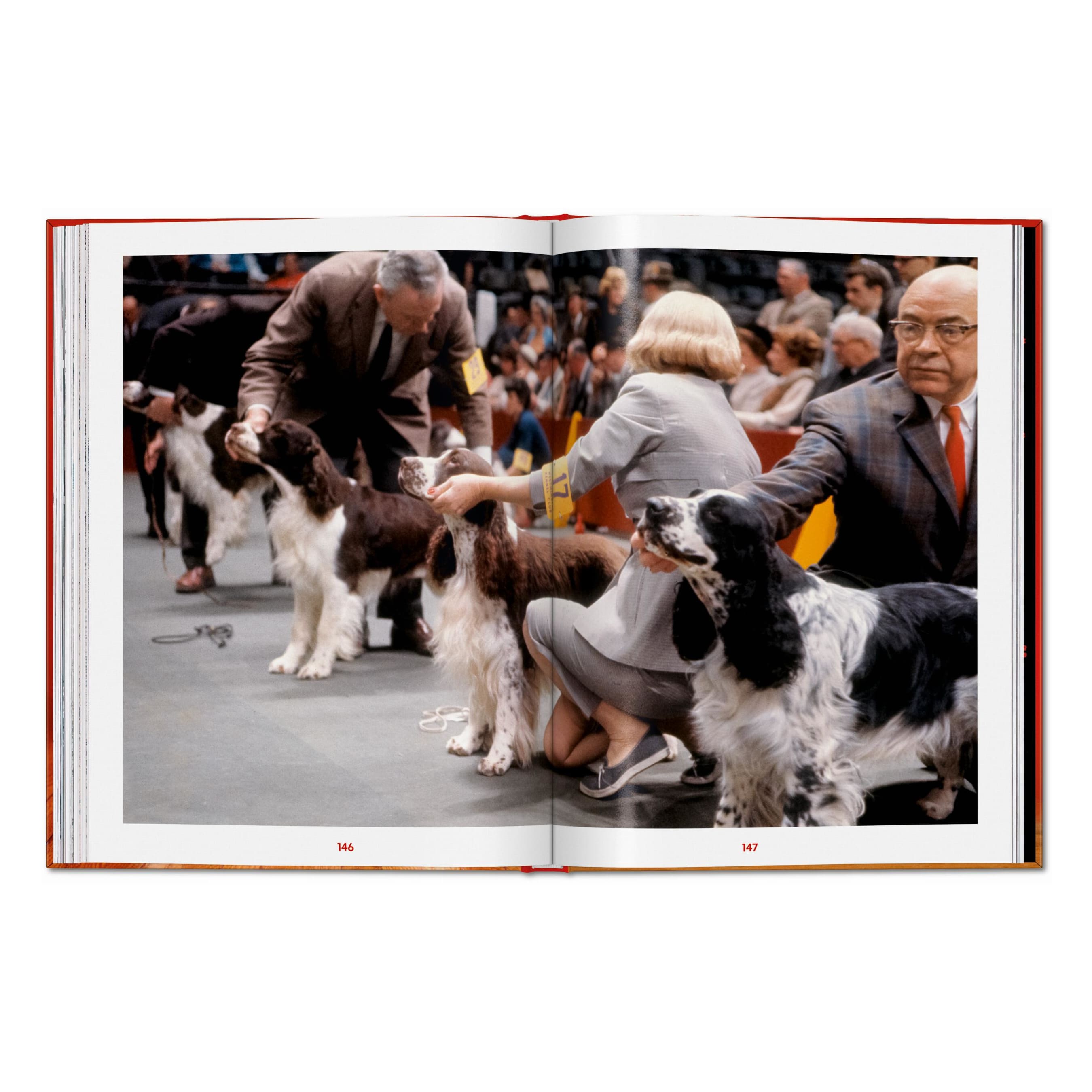 Walter Chandoha. Dogs. Photographs 1941–1991 (English)