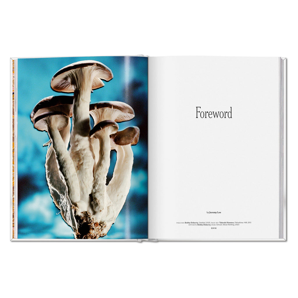 The Gourmand's Mushroom. A Collection of Stories and Recipes (English)