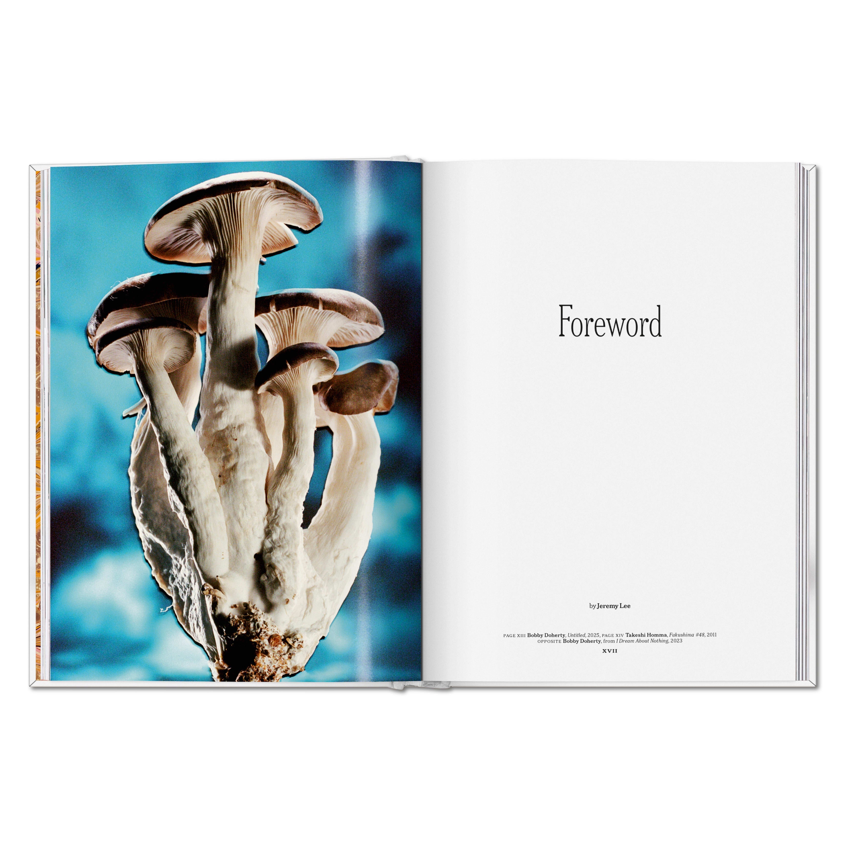 The Gourmand's Mushroom. A Collection of Stories and Recipes (English)