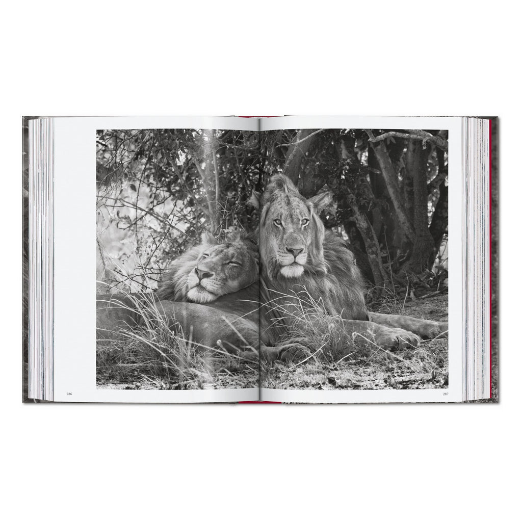 Sebastião Salgado. Genesis. 45th Ed. (English)
