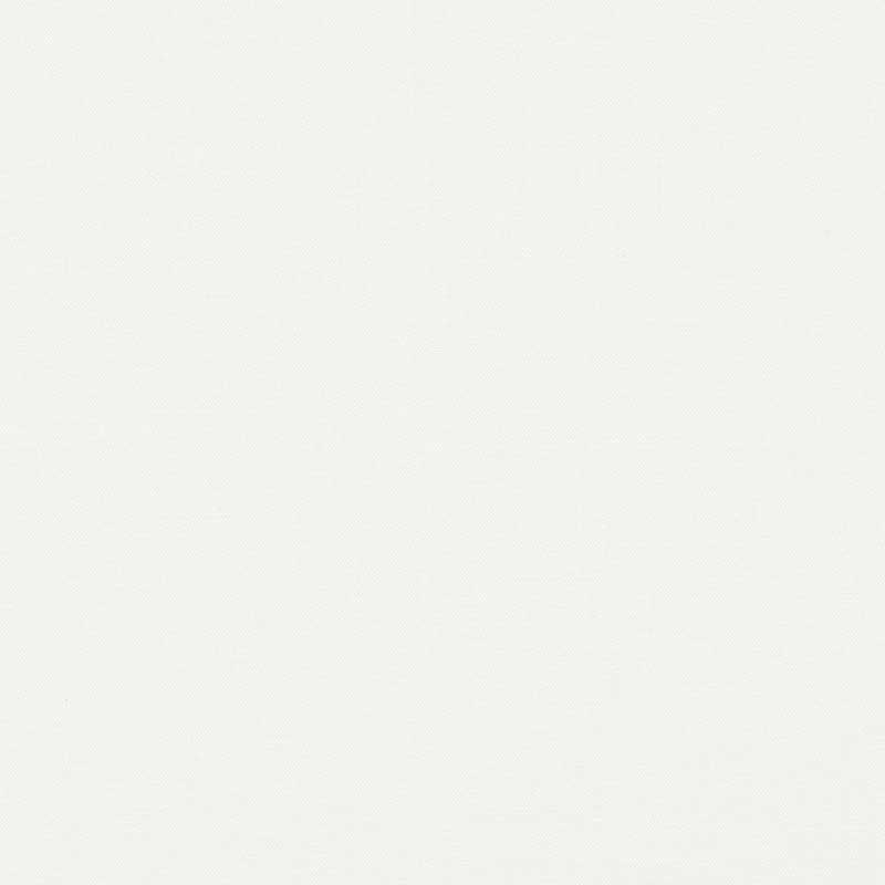 Piet Performance Linen - Blanc - Schumacher 69900 Fabric