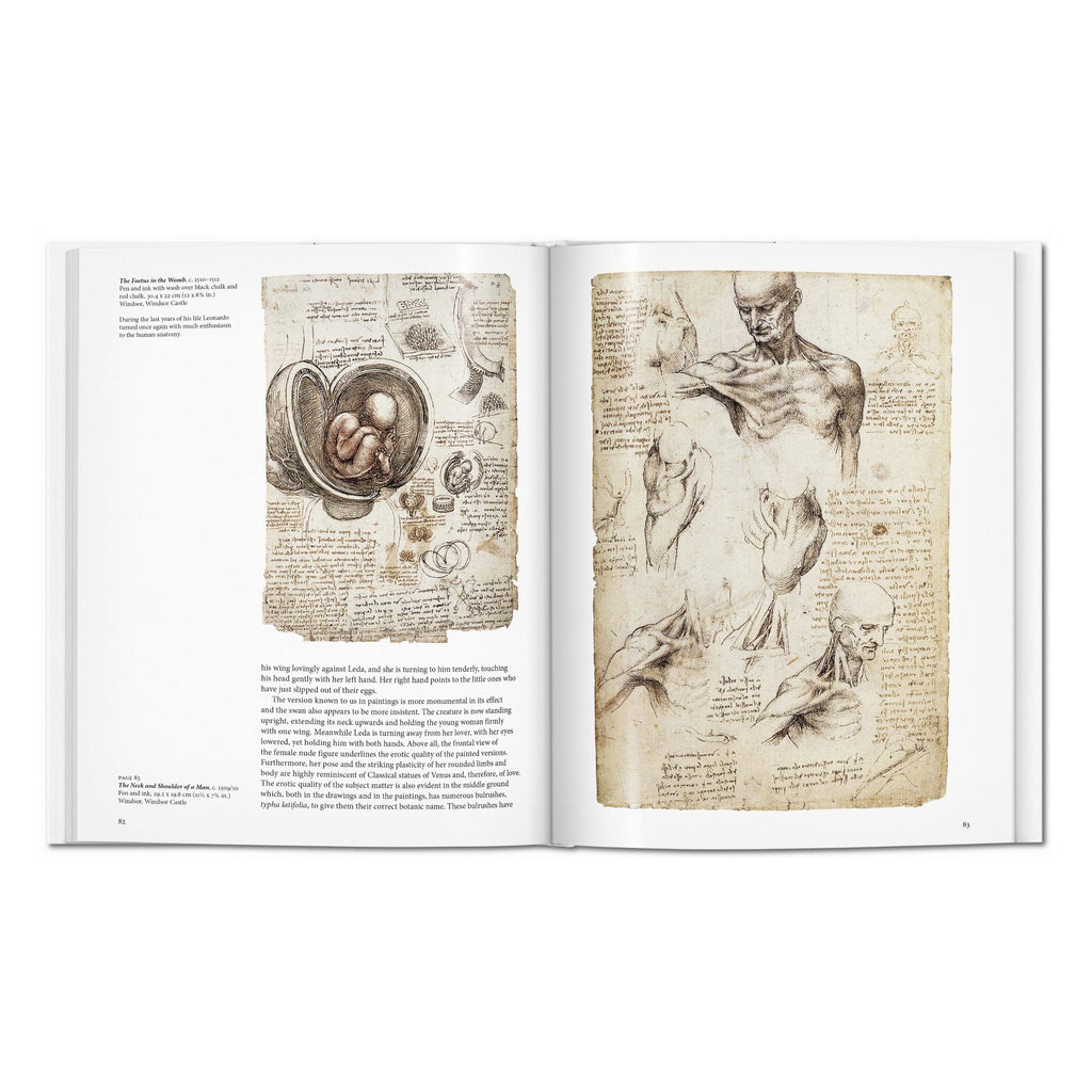 Leonardo (English)