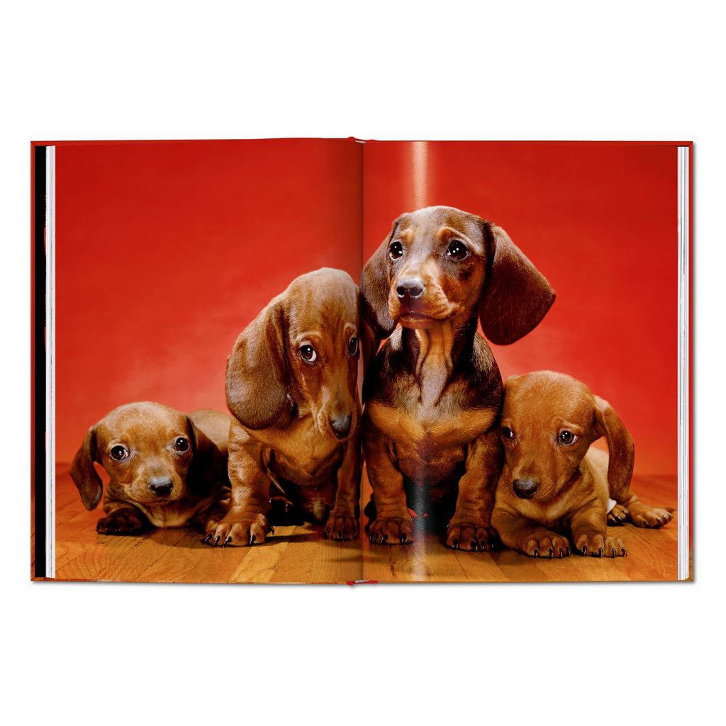 Walter Chandoha. Dogs. Photographs 1941–1991 (English)