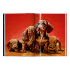 Walter Chandoha. Dogs. Photographs 1941–1991 (English)