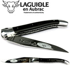 Close view of the black horn handle and polished blade half open