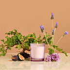 Hinoki Lavender Petite Candle