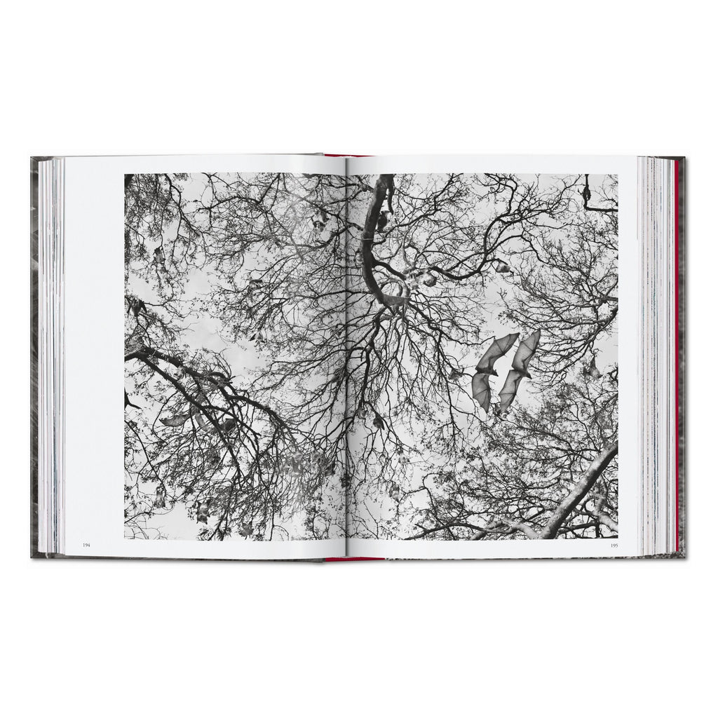 Sebastião Salgado. Genesis. 45th Ed. (English)