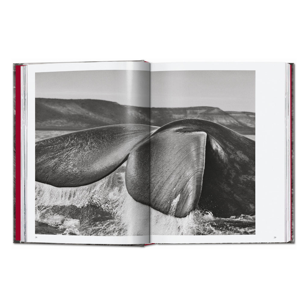 Sebastião Salgado. Genesis. 45th Ed. (English)