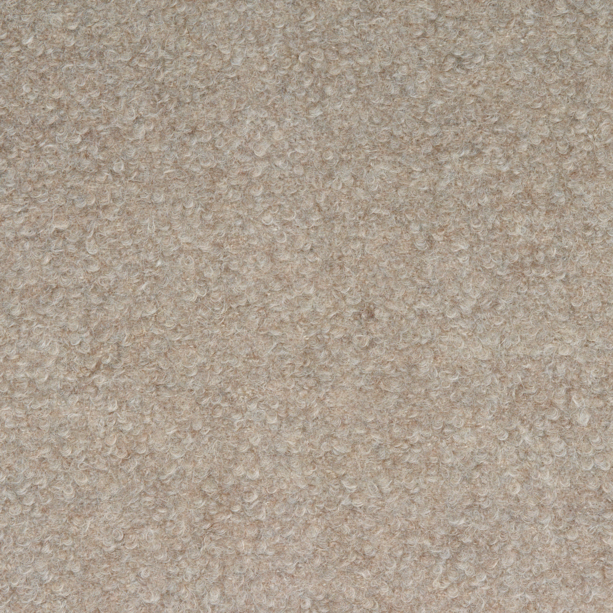 Teddy Wool Bouclé - Rabbit - Schumacher 82060 Fabric