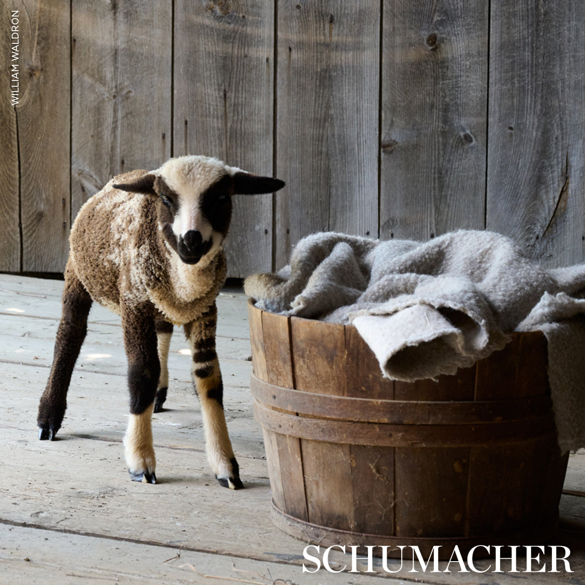 Teddy Wool Bouclé - Rabbit - Schumacher 82060 Fabric