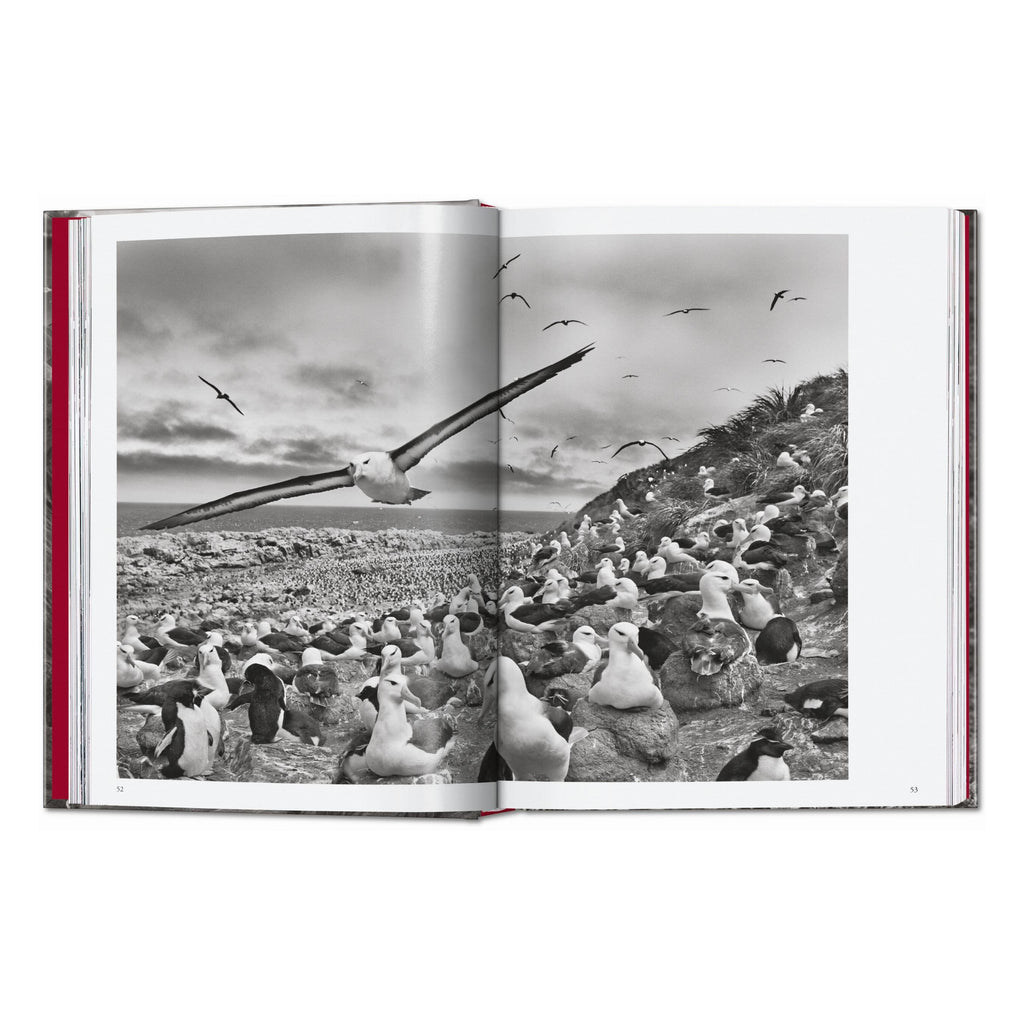 Sebastião Salgado. Genesis. 45th Ed. (English)