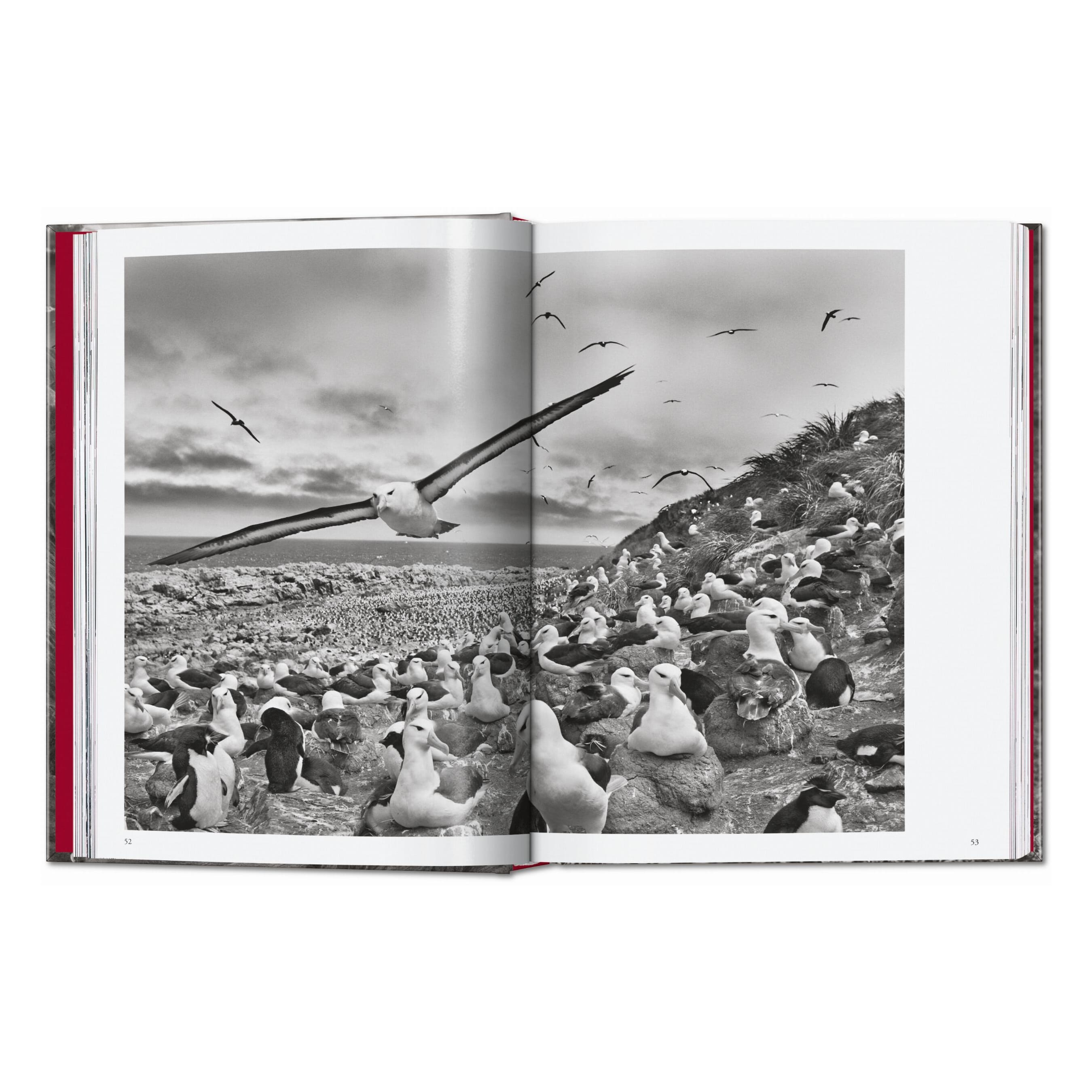 Sebastião Salgado. Genesis. 45th Ed. (English)